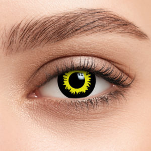 fc-35_eye_02